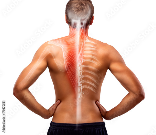 Man's back bones illustration.