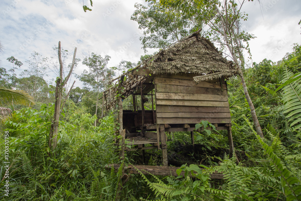 traditional houses of the native people of indonesia in village traditional houses of the native people of indonesia in village