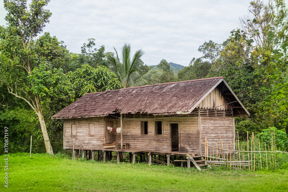 traditional houses of the native people of indonesia in village traditional houses of the native people of indonesia in village