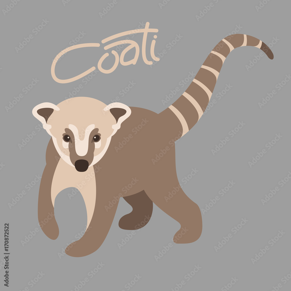 coati vector illustration style flat front side coati vector illustration style flat front side