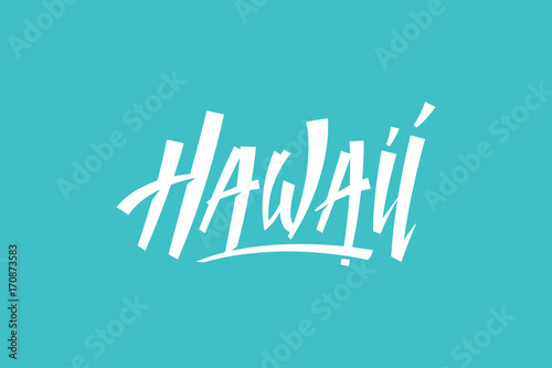 Hawaii USA State Word Logo Hand Painted Brush Lettering Calligraphy Logo Template