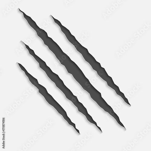 Claws scratches with shadows. vector isolated