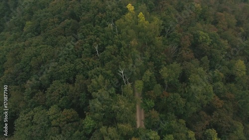 aerial view on mountain road in the woods photo