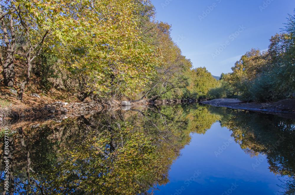 Reflection