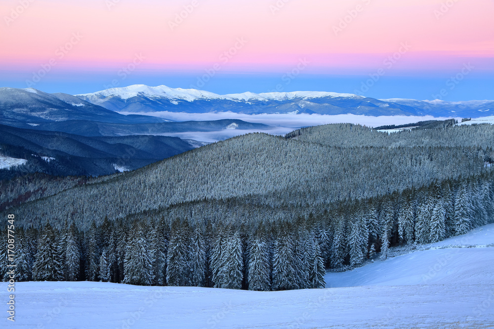 Winter forest of spruce trees poured with snow that like fur shelters the mountain hills covered with snow.