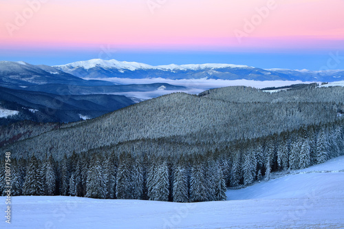 Winter forest of spruce trees poured with snow that like fur shelters the mountain hills covered with snow.