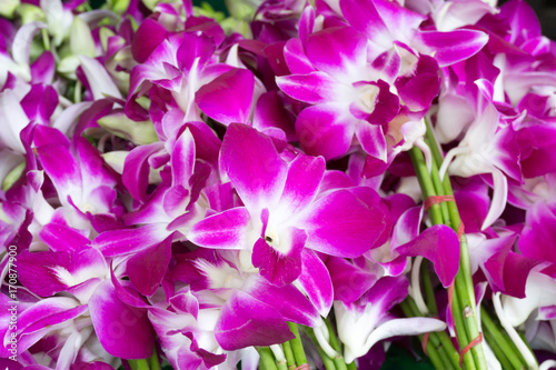 Beautiful bouquets of purple and white orchid flowers stacked on display at flower market in bangkok  thailand