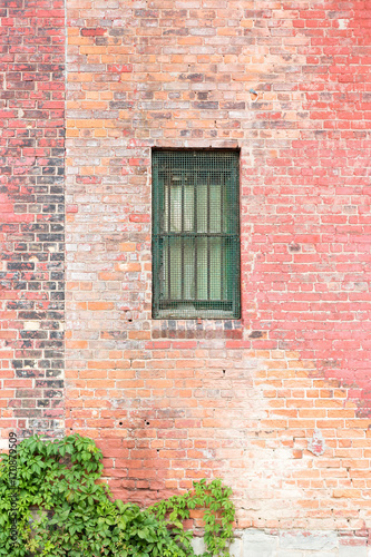 barred window in brick wall with twining plants