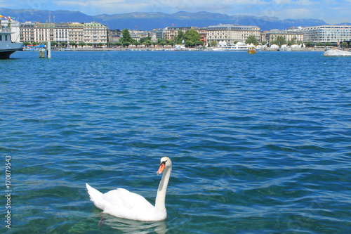 Lac et ville de Gen  ve  Suisse