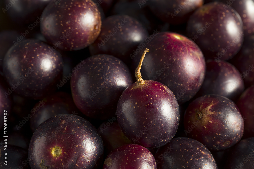 custom made wallpaper toronto digitalHomemade Sweet Muscadine Grapes