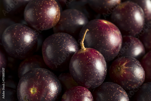 Wallpaper Mural Homemade Sweet Muscadine Grapes Torontodigital.ca