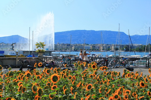 Lac et ville de Genève, Suisse