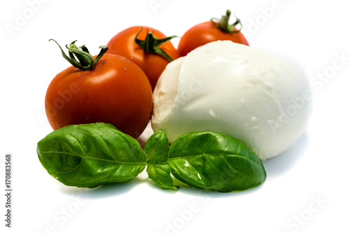 Mozzarella mit Tomaten und Basilikum isoliert freigestellt auf weißen Hintergrund, Freisteller