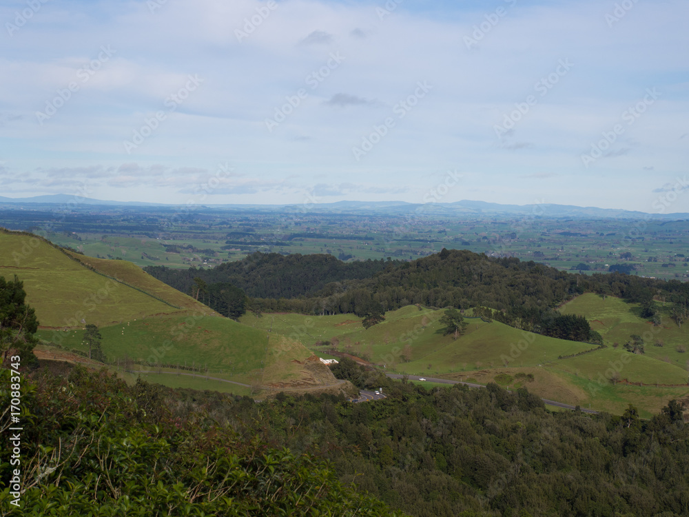 Scenic Landscape View