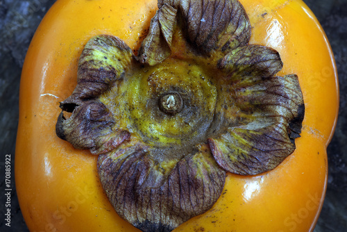 Still of life of persimmon