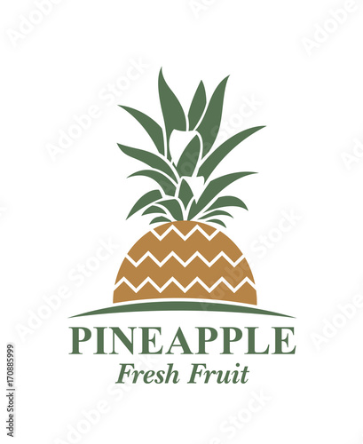 illustration of pineapple tropical fruit