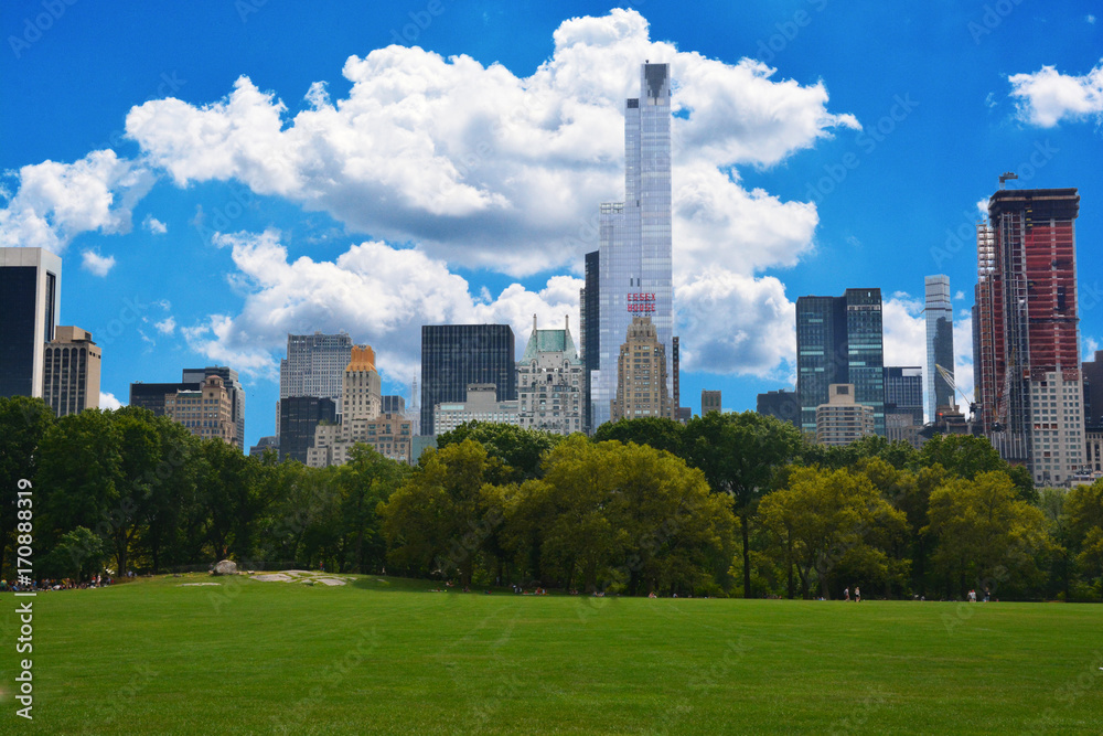 Central Park neighborhood in a summer day 