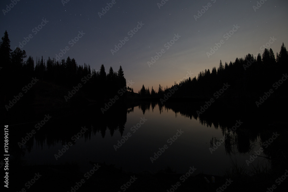 Naklejka premium Moon Behind the Trees and Lake