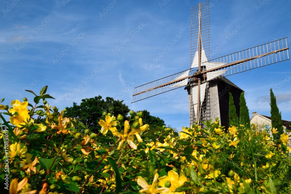 Fotografie Moulin de Sannois durant l'été avec des fleurs jaunes
