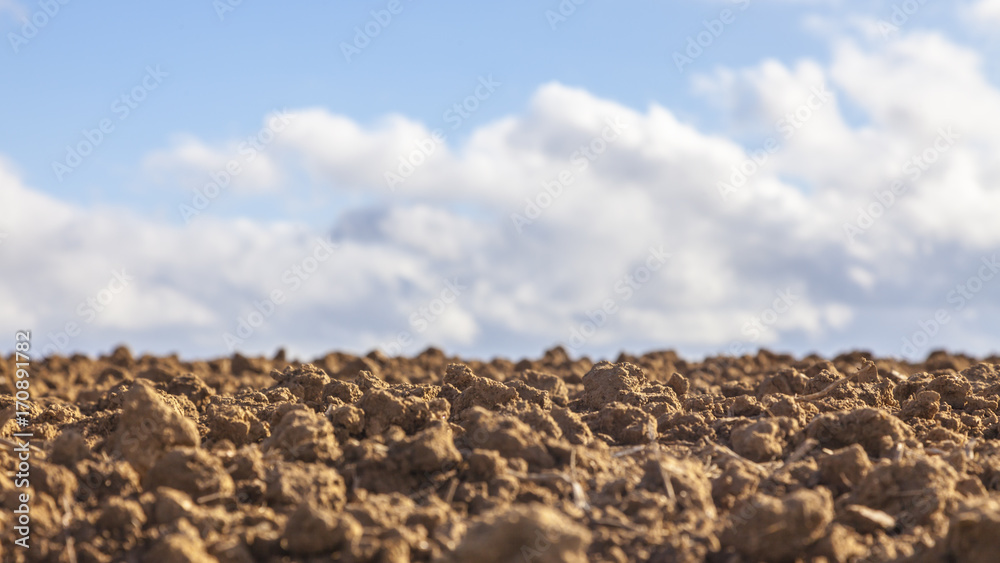Obraz premium Agricultural Abstract