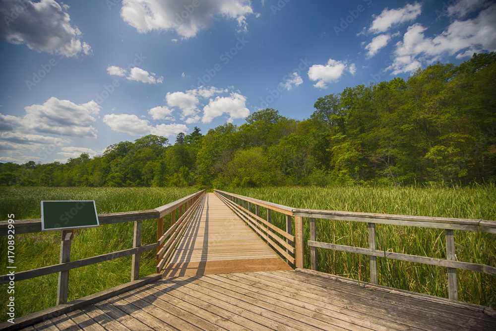 View of walkway in marshland landscape at Ontario's Royal Botanical Garden