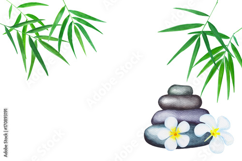 Green bamboo leaves watercolor illustration. Handdrawn zen background.