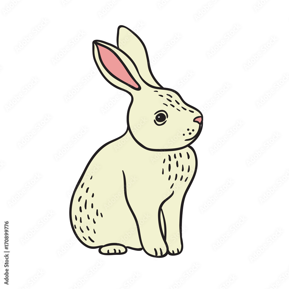 Obraz premium Little White Rabbit Vector Illustration