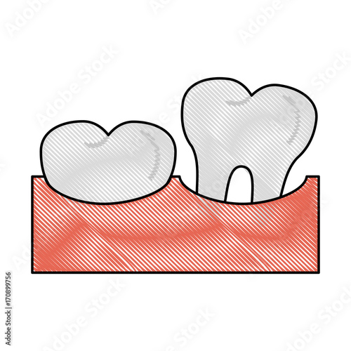 Healthy human teeths icon vector illustration graphic design