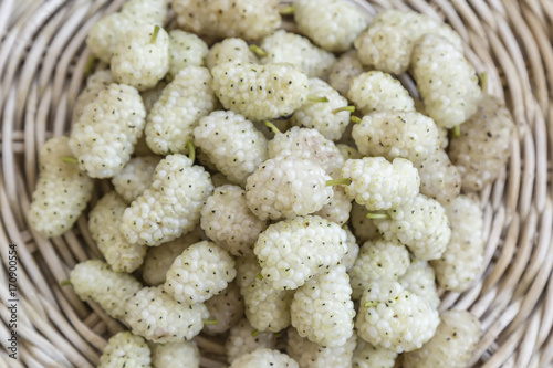 Fresh white mulberry