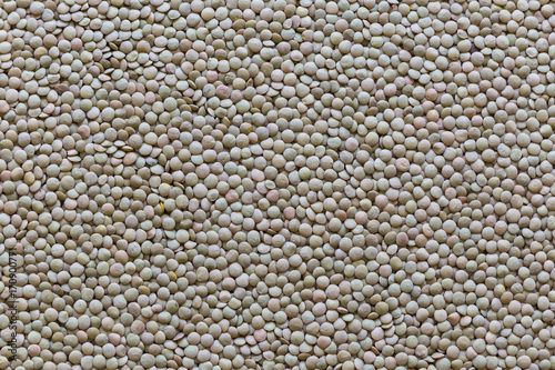 Close-up dried green lentil grains background photo