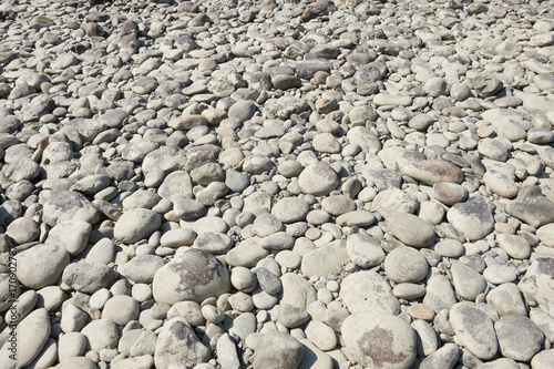 Round stones of mountain throats.