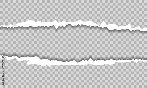 ripped paper and transparent background with space for text, vector art and illustration