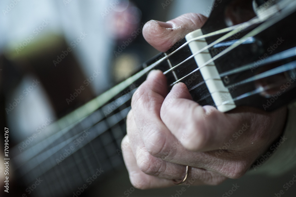 Guitar