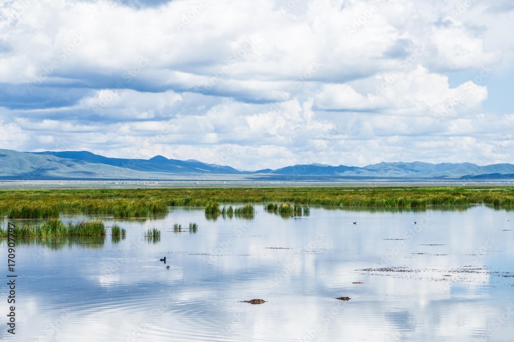 Obraz premium Spring landscape with cloud reflections.