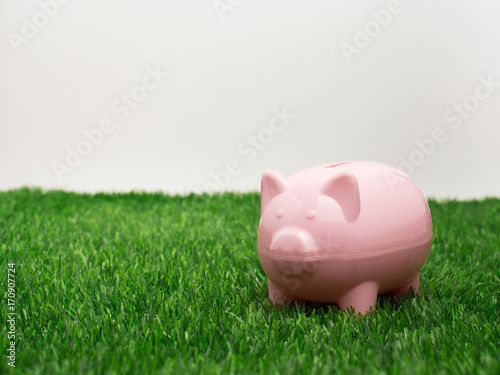 Small piggy bank behind a small patch of fresh grass
