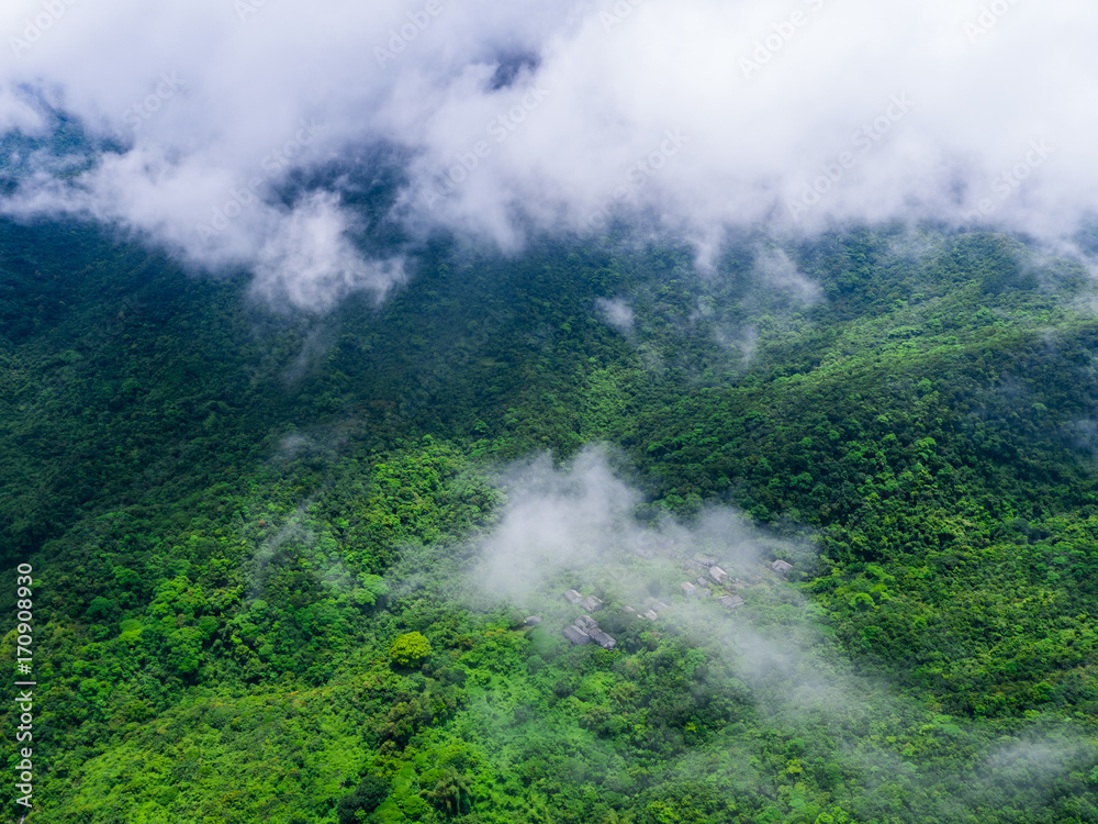 Mountain forest. Landscape nature and green.