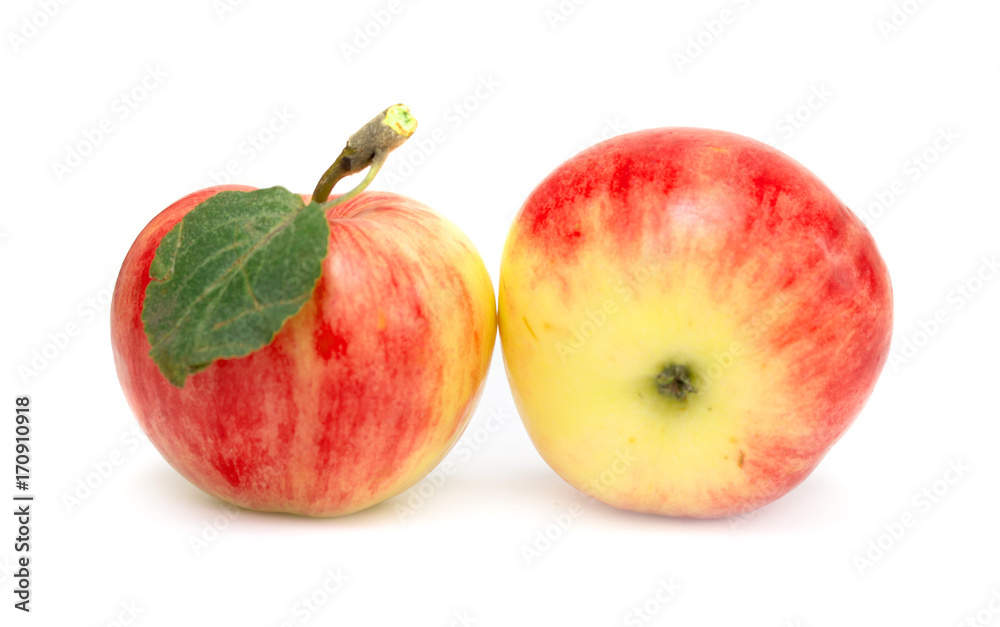 fresh apple isolated on white background fresh apple isolated on white background