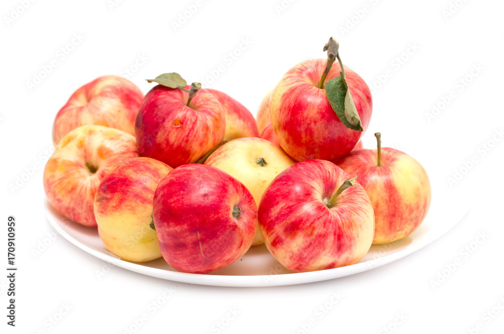 fresh apple isolated on white background fresh apple isolated on white background