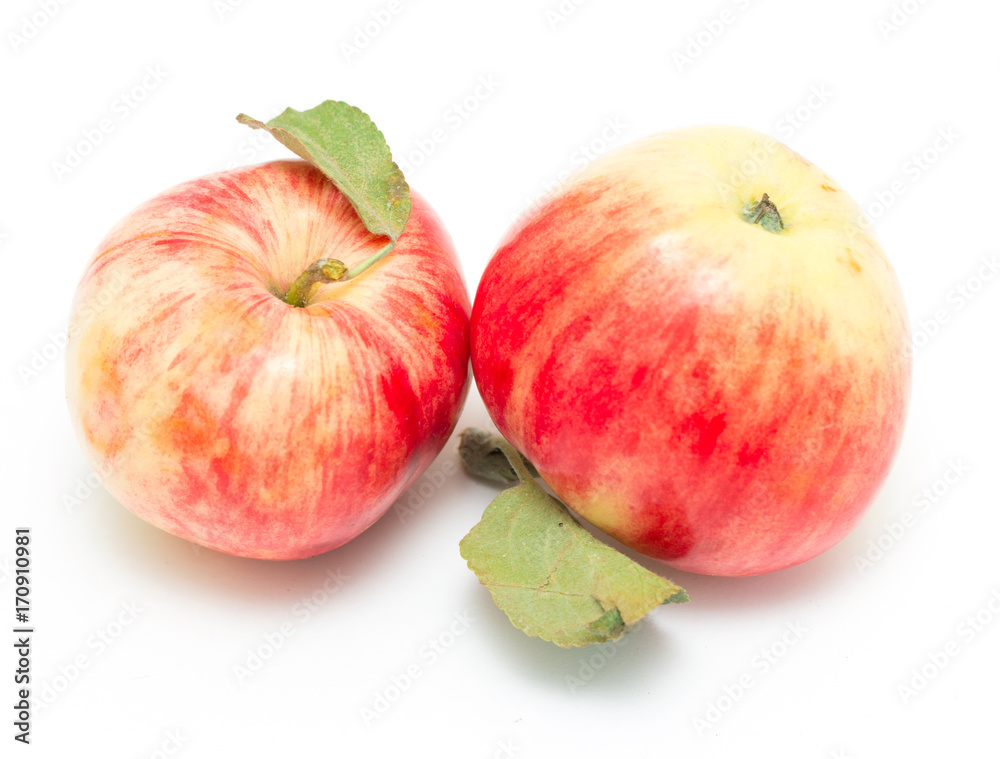 fresh apple isolated on white background