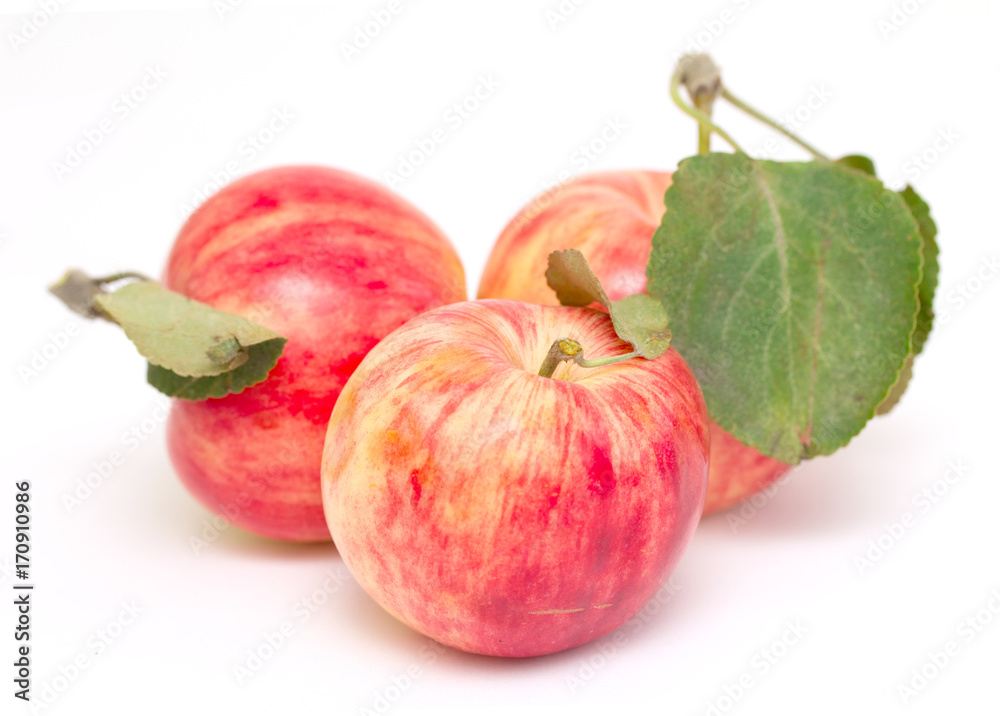 fresh apple isolated on white background fresh apple isolated on white background