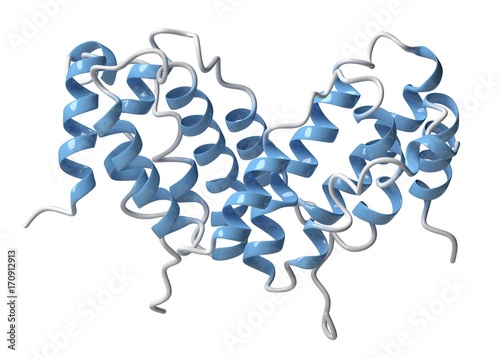 Interferon gamma molecule, illustration photo