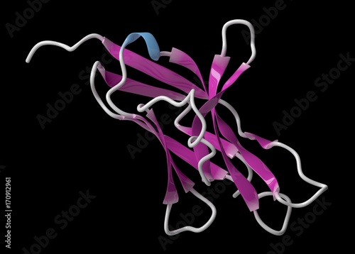Cell death 1 protein molecule, illustration photo