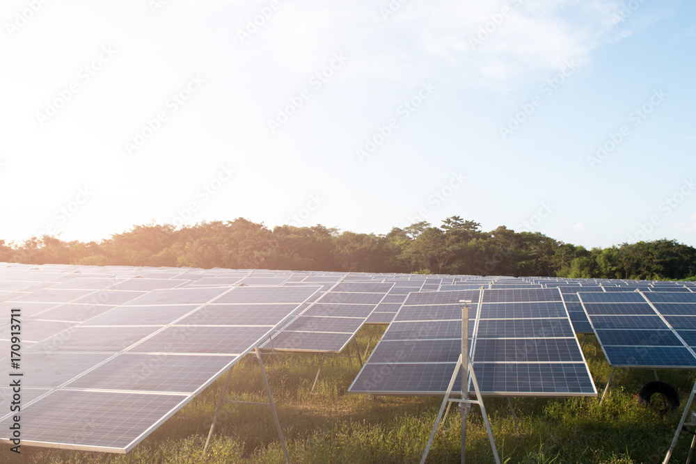 Solar Farm with sunset on the background Solar Farm with sunset on the background