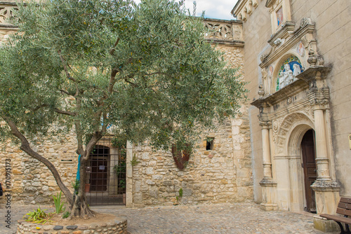 Aigueze in Ardeche, most beautiful french village, the church and an olive tree 
