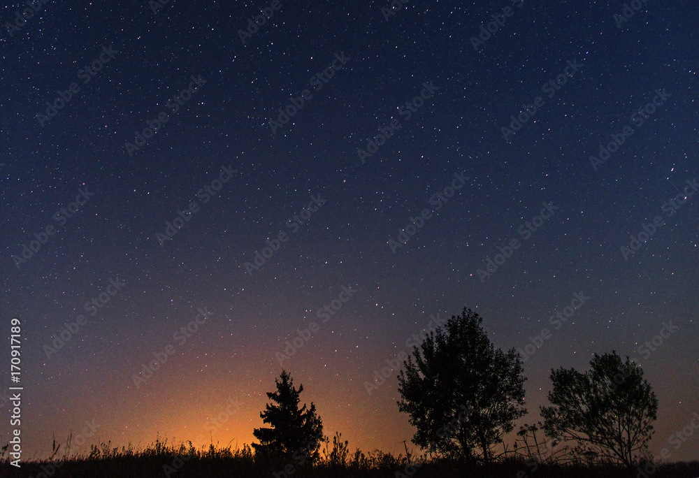 Silhouettes of three trees against the background of the night starry sky and the setting sun Silhouettes of three trees against the background of the night starry sky and the setting sun