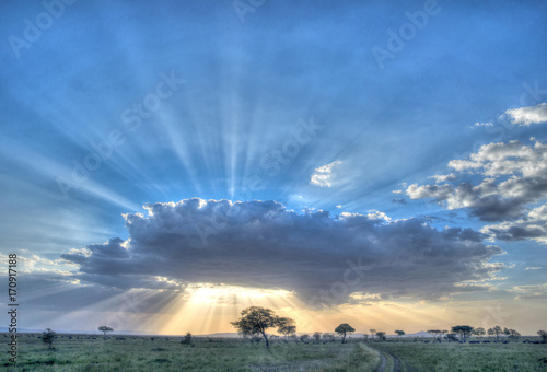 Africa, Tanzania Serengeti ...