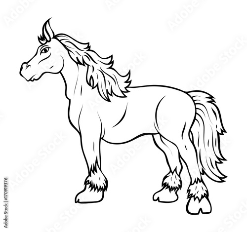 Horse Vector Drawing