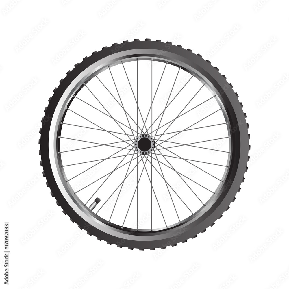 Bicycle wheel , mountain bike front wheel Bicycle wheel , mountain bike front wheel