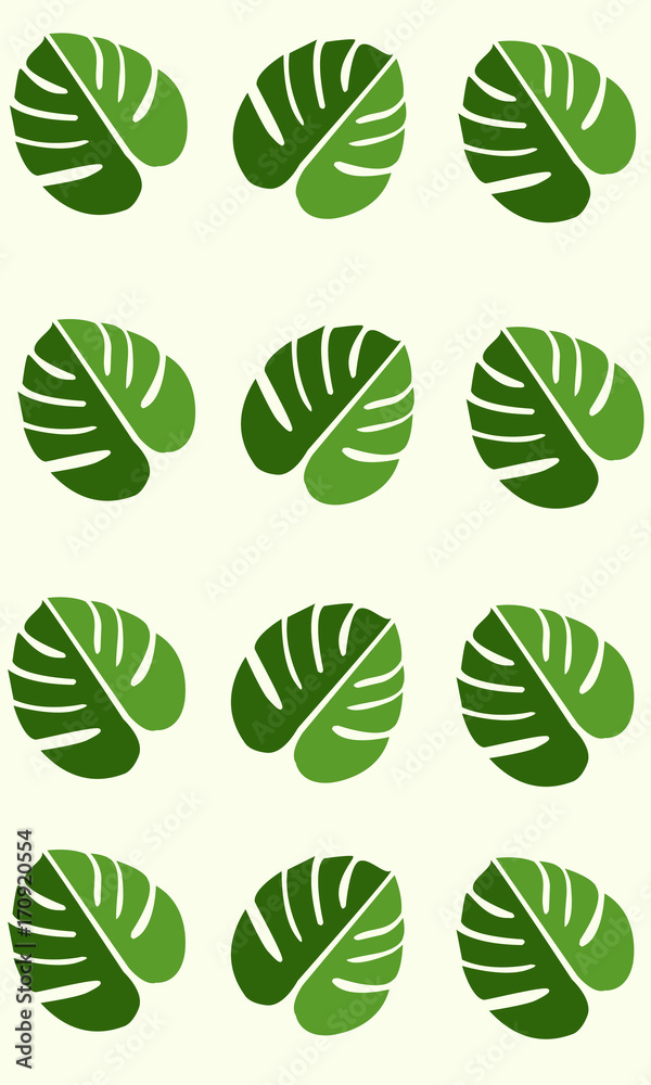 Fototapeta premium Tropical Rainforest Monstera Leaves Background