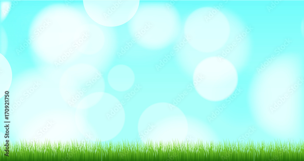 Grassline Bokeh Background